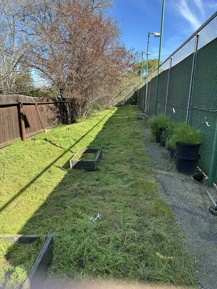 Custom lawn mowing service for outdoor upgrades in Meadow Vista, CA by Elevate Outdoors