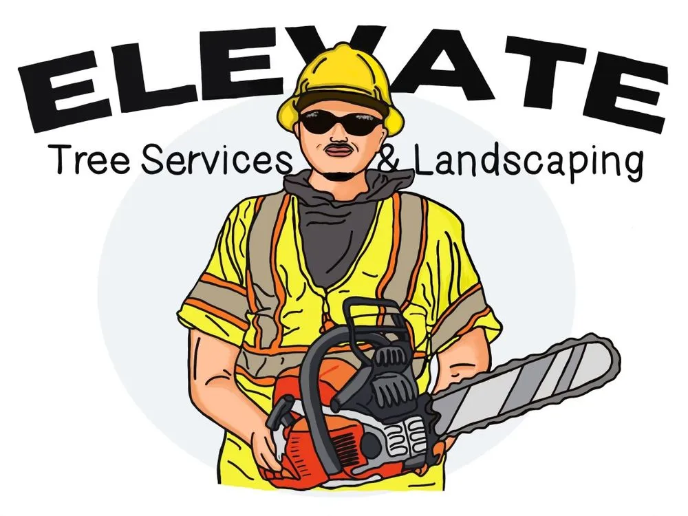 Top-rated outdoor landscaping for homes across Oklahoma City, OK - Elevate Tree Service And Landscaping