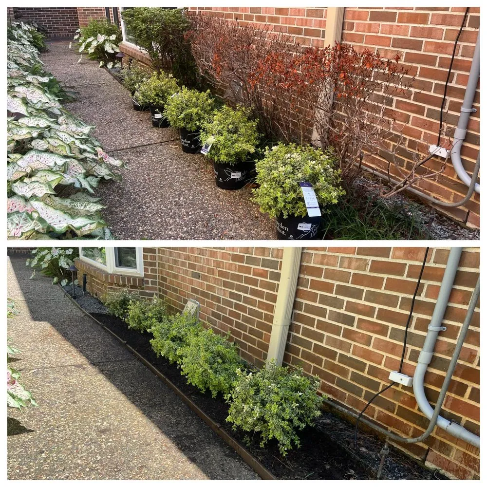 Reliable landscaping services for outdoor upgrades in Silver Spring, MD by Elevate Vanguard