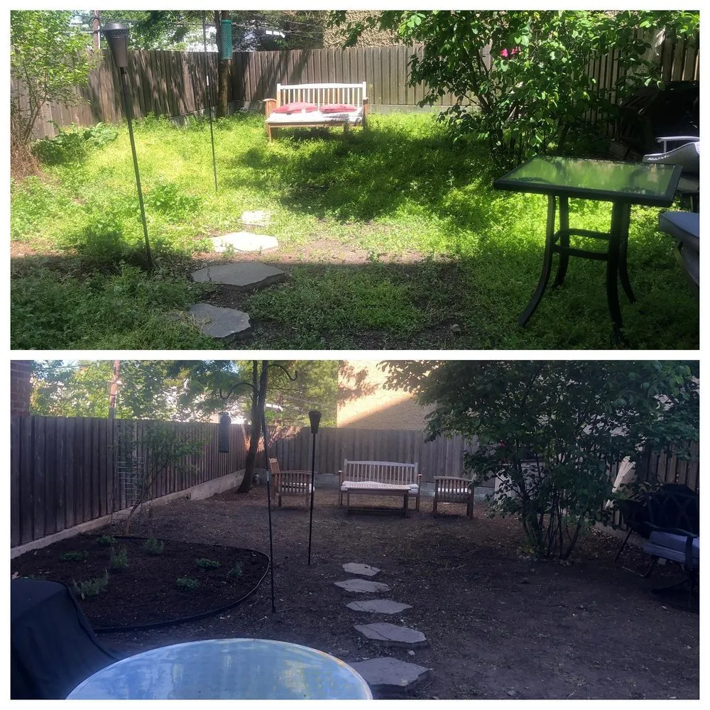 Top-rated lawn mowing service experts serving Silver Spring, MD - Elevate Vanguard