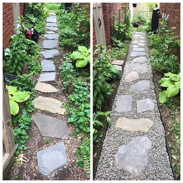 Reliable residential landscaping for year-round maintenance in Silver Spring, MD by Elevate Vanguard