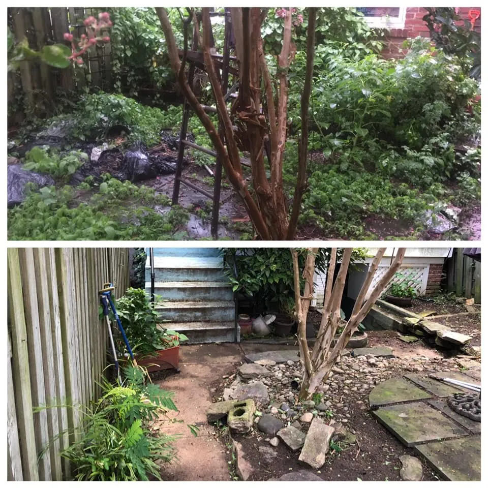 Top-rated lawn mowing service for homes in Silver Spring, MD by Elevate Vanguard