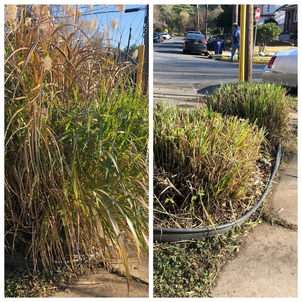 Custom lawn mowing service with custom design in Silver Spring, MD by Elevate Vanguard