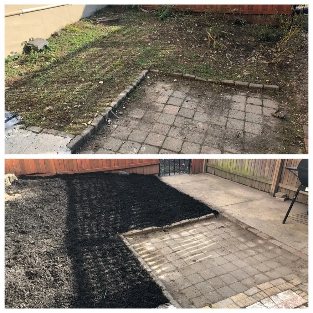 Local lawn mowing service for residential properties across Silver Spring, MD - Elevate Vanguard