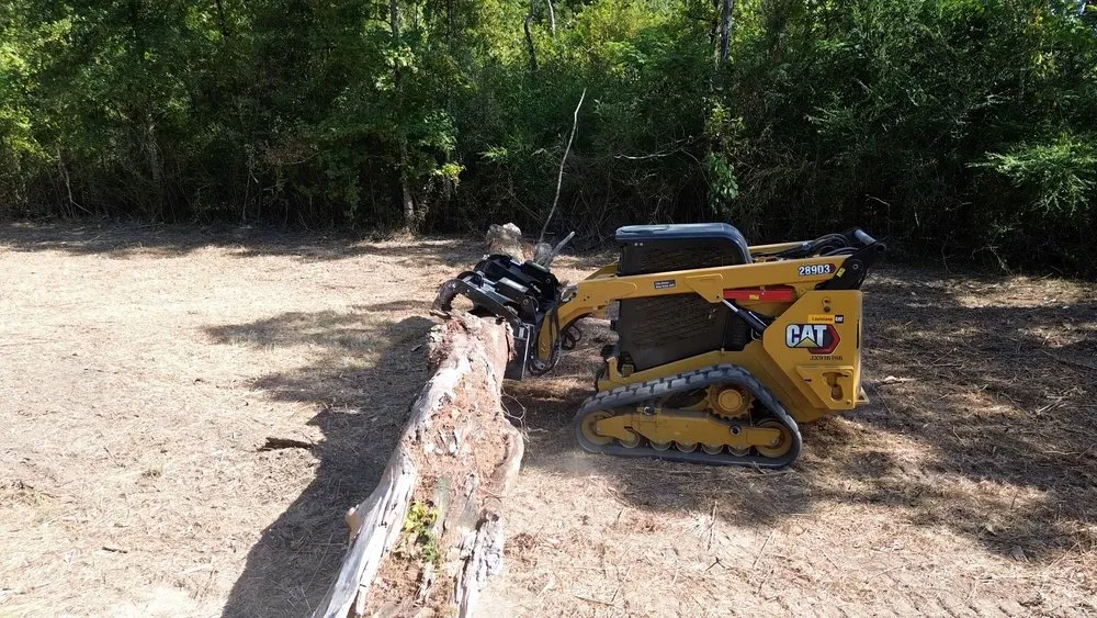 Expert landscape installation near you across Hammond, LA - Elevated Construction