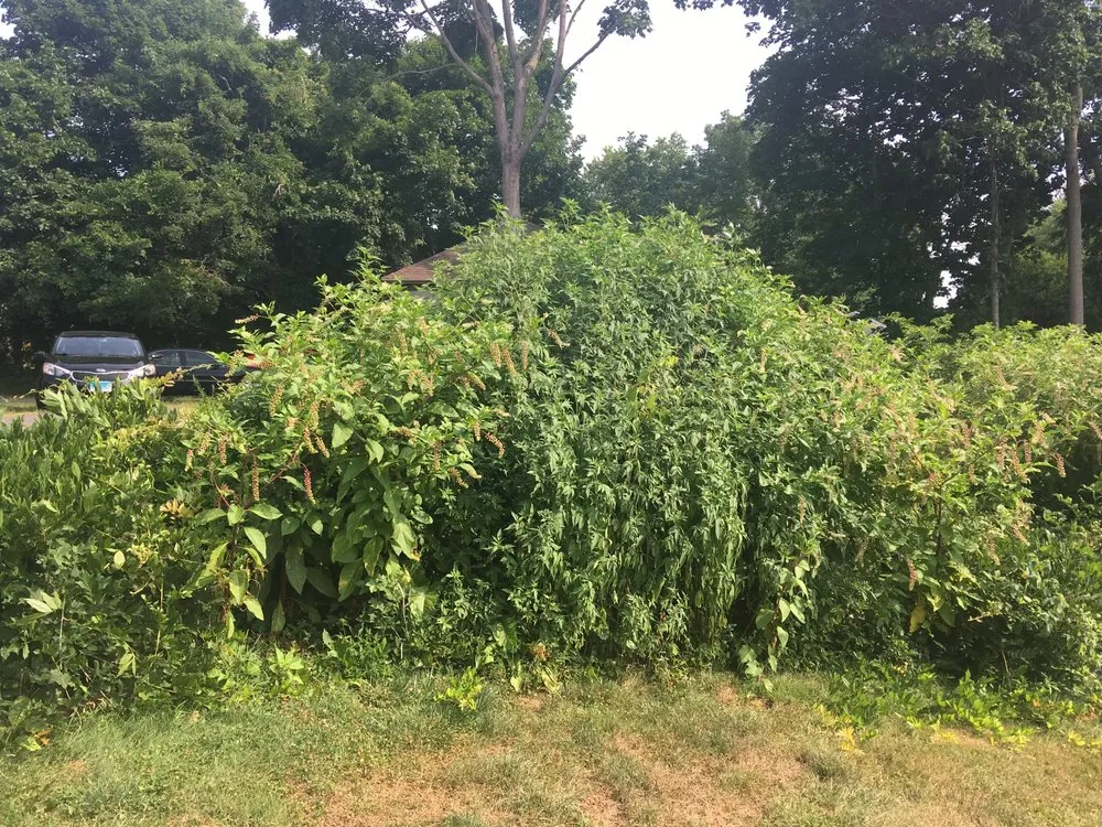 Expert residential landscaping in Avon, CT - Elevated Earthwork