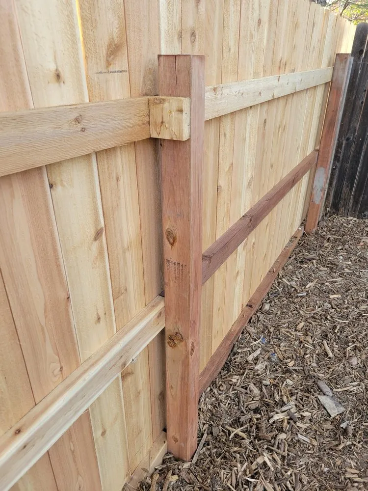 Trusted lawn care service in Colorado Springs, CO by Elevated Environments