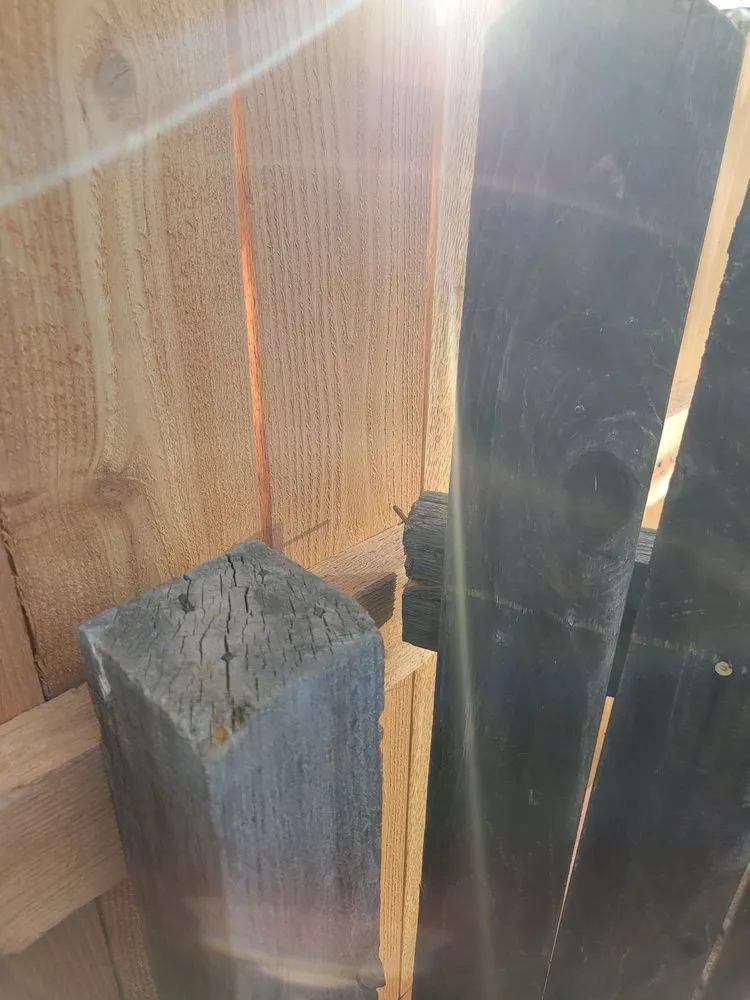 Top-rated outdoor landscaping in Colorado Springs, CO - Elevated Environments