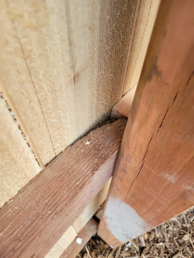 Custom landscape design for year-round maintenance across Colorado Springs, CO - Elevated Environments