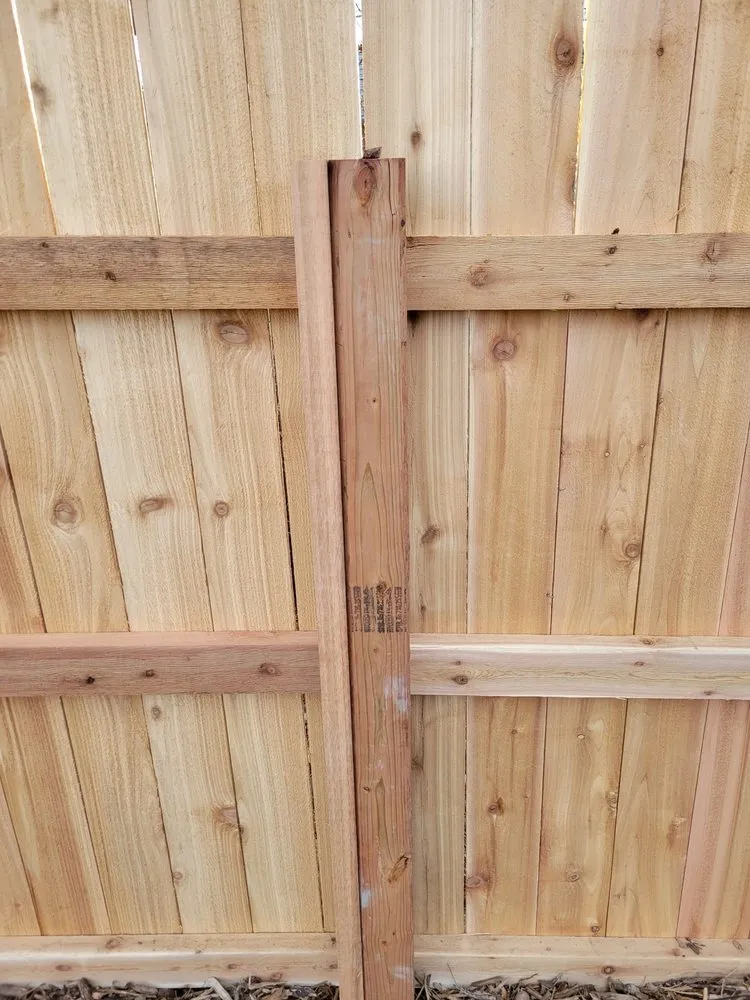 Trusted landscape installation in Colorado Springs, CO by Elevated Environments