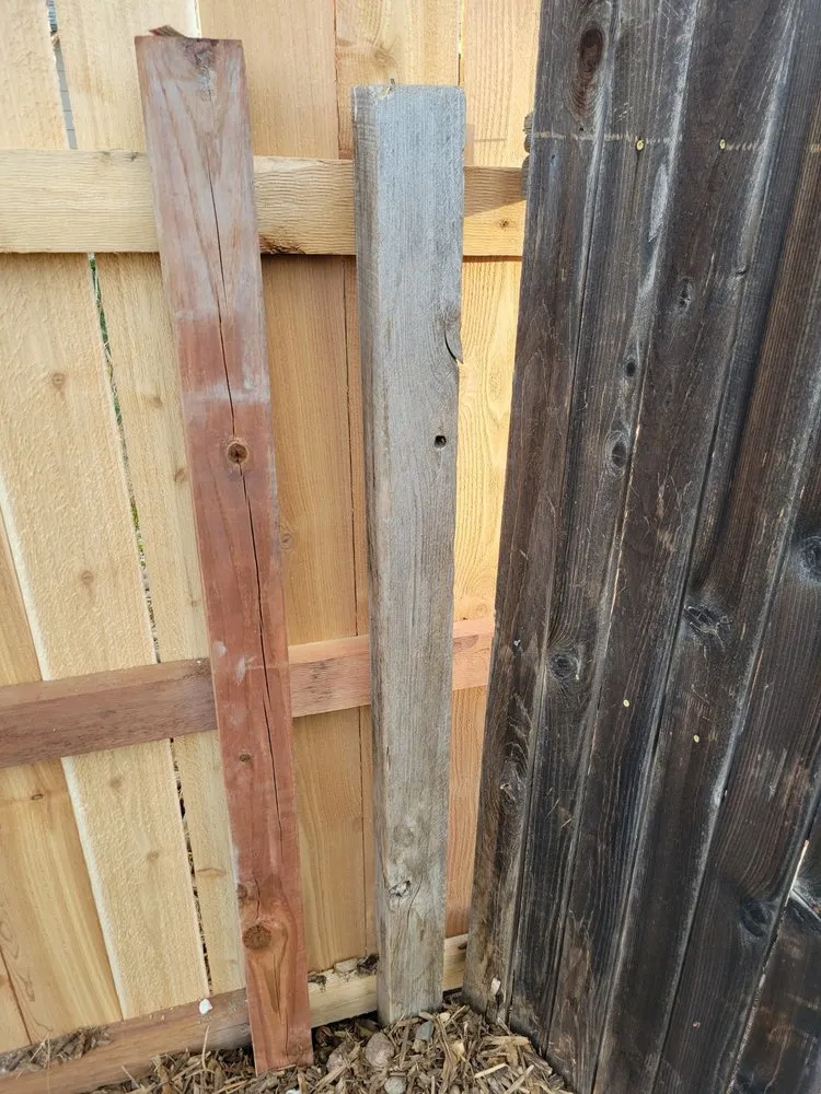 Local lawn mowing service in Colorado Springs, CO - Elevated Environments