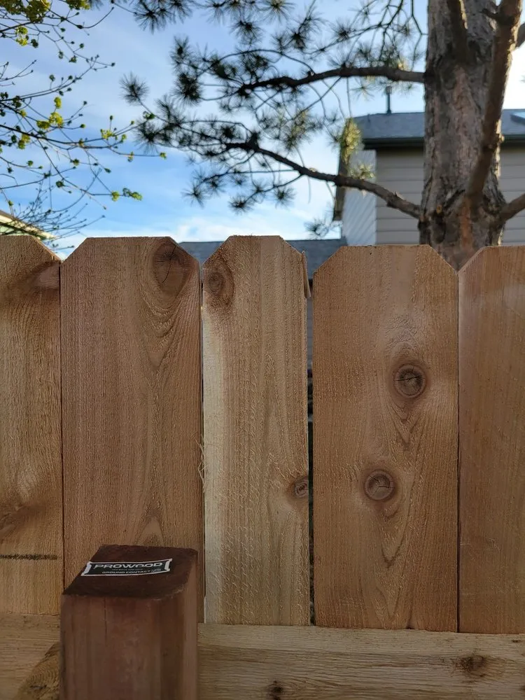 Expert yard cleanup service experts serving Colorado Springs, CO - Elevated Environments