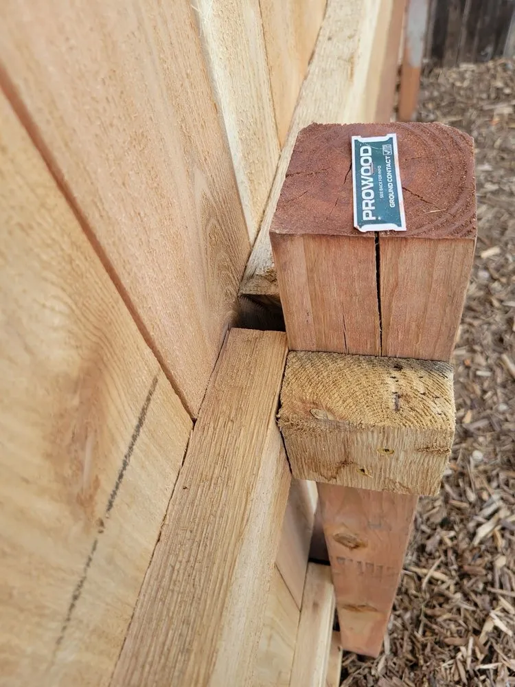 Expert yard cleanup service in Colorado Springs, CO - Elevated Environments