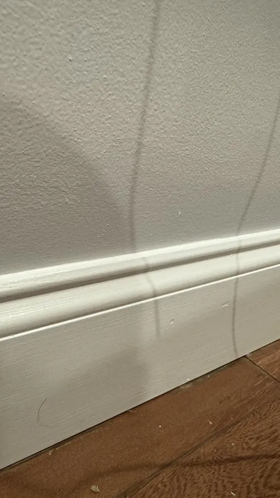 Local landscaping services in Brick Township, NJ by Elevated Essentials