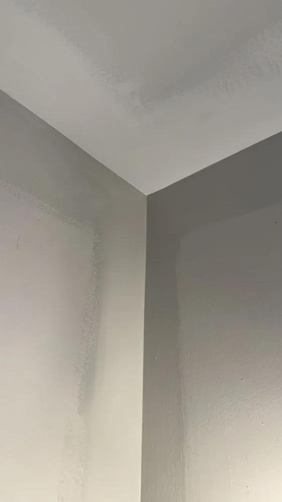 Professional residential landscaping with custom design in Brick Township, NJ by Elevated Essentials