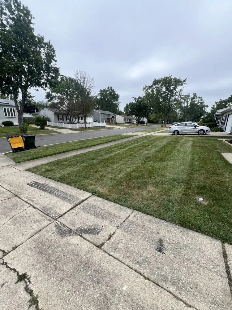 Reliable landscape design in Streamwood, IL by Elevated Gardens Landscaping