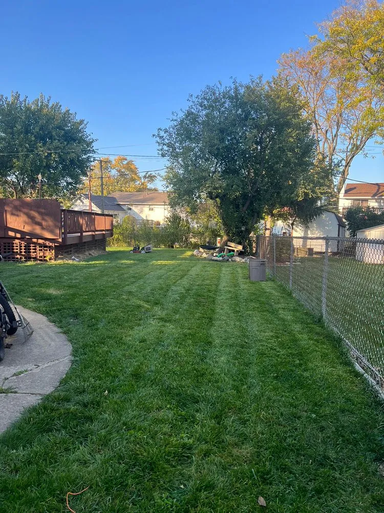 Local yard cleanup service for homes across Streamwood, IL - Elevated Gardens Landscaping