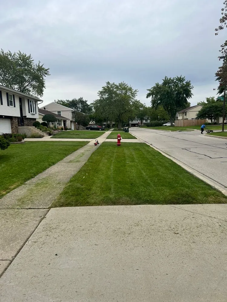 Custom yard maintenance for residential properties across Streamwood, IL - Elevated Gardens Landscaping