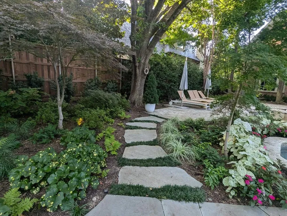 Trusted residential landscaping for year-round maintenance in Mesquite, TX by Elevated Gardens