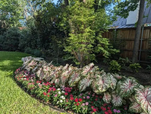 Elevated Gardens Logo