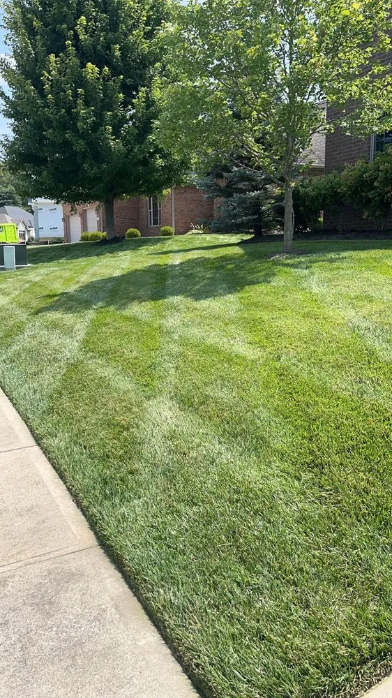 Reliable landscaping services near you in Greenwood, IN by Elevated Home and Lawn Services