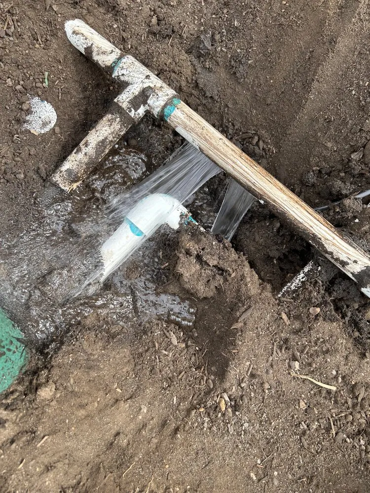 Top-rated landscape installation experts serving Bellingham, WA - Elevated irrigation