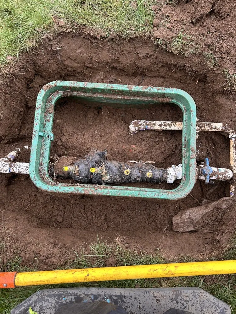 Custom landscape installation in Bellingham, WA by Elevated irrigation