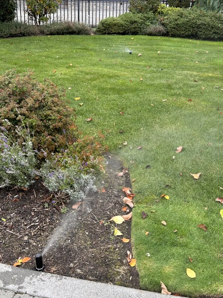 Local residential landscaping in Bellingham, WA by Elevated irrigation