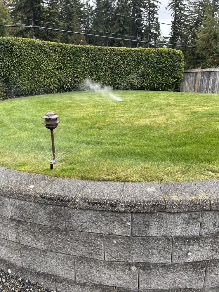 Trusted yard maintenance for outdoor upgrades across Bellingham, WA - Elevated irrigation