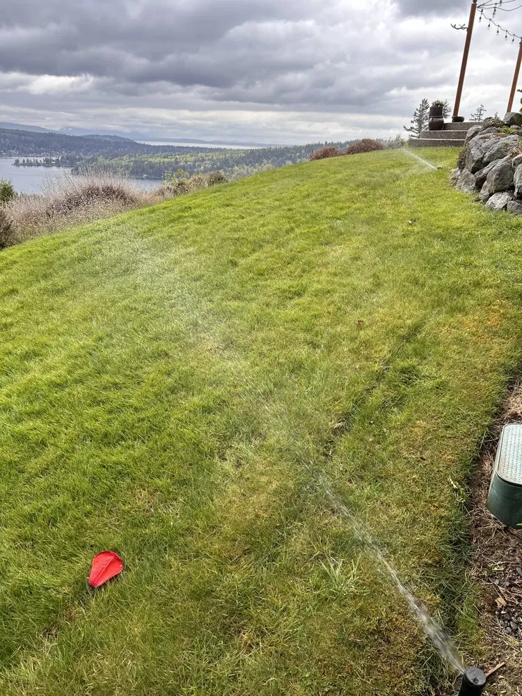 Custom landscape installation experts serving Bellingham, WA - Elevated irrigation