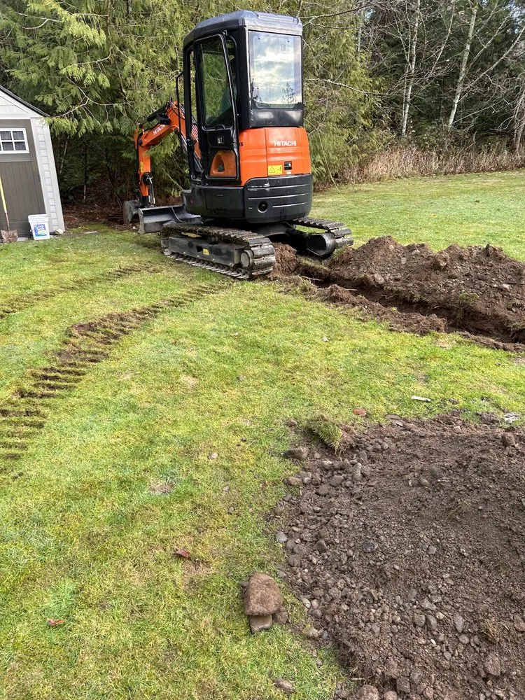 Affordable yard cleanup service in Bellingham, WA - Elevated irrigation
