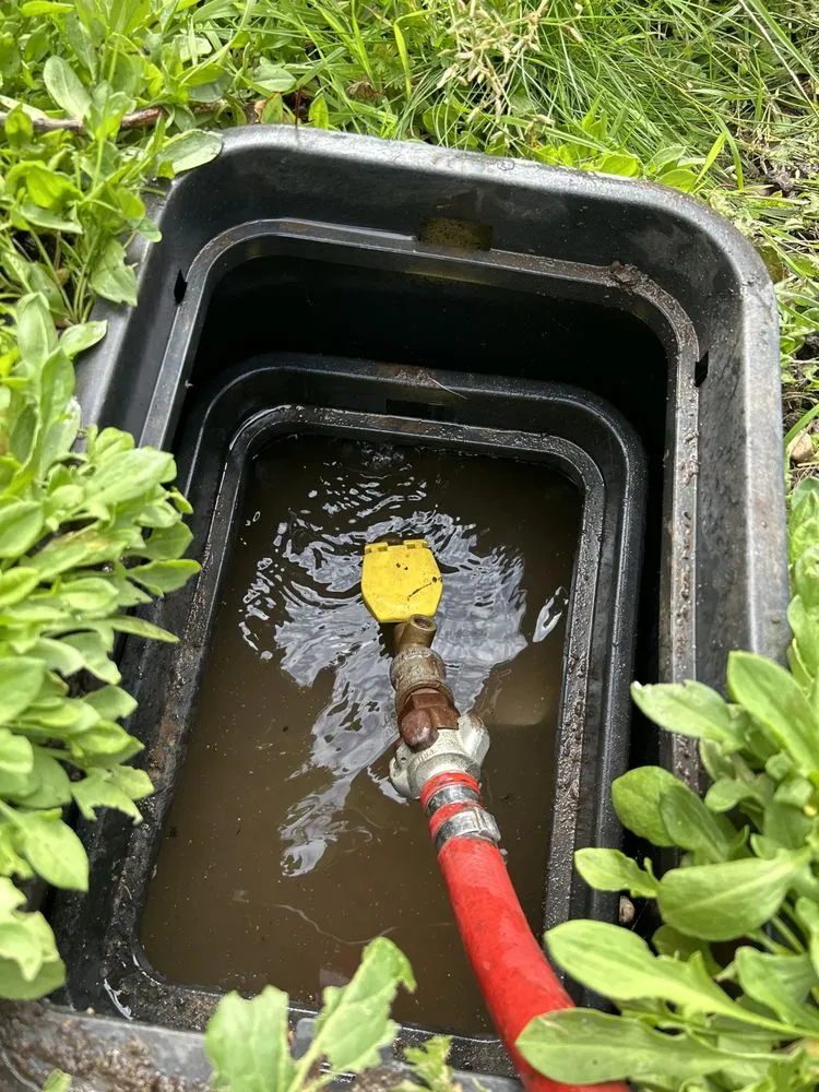 Affordable lawn care service for outdoor upgrades across Bellingham, WA - Elevated irrigation