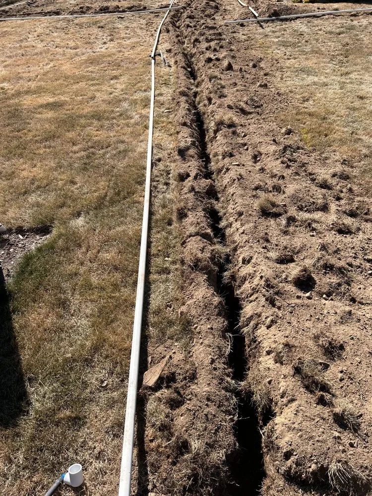 Reliable lawn care service for residential properties in Bellingham, WA by Elevated irrigation