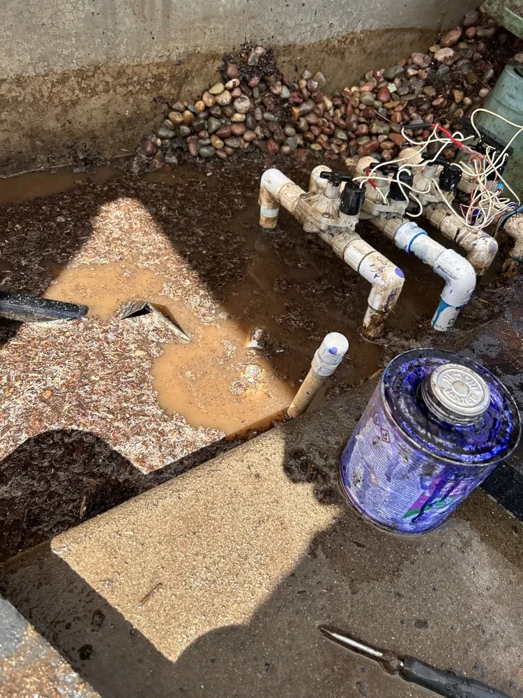 Top-rated lawn care service in Bellingham, WA - Elevated irrigation