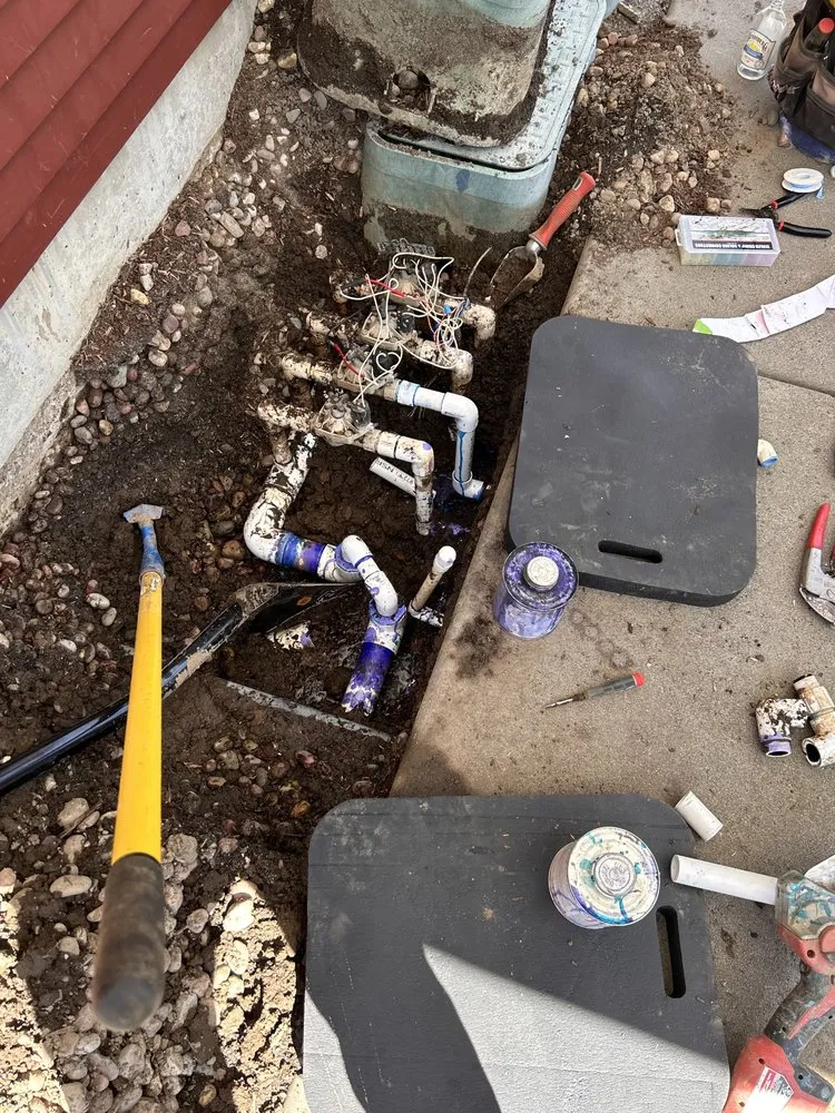 Affordable landscape installation in Bellingham, WA by Elevated irrigation