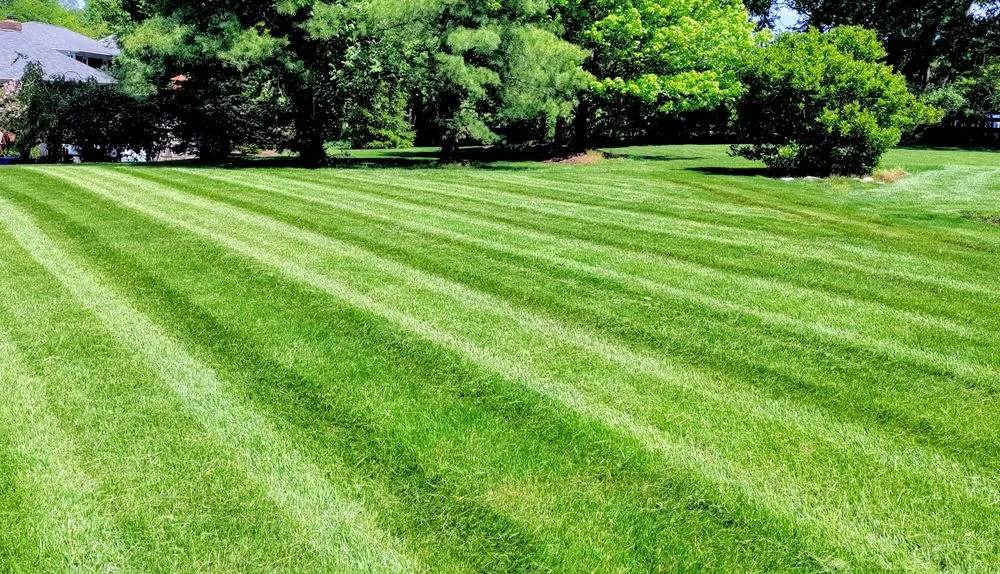 Local garden landscaping experts serving Cincinnati, OH - Elevated Landscape and Lawncare