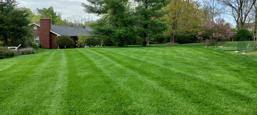 Affordable lawn mowing service for outdoor upgrades in Cincinnati, OH by Elevated Landscape and Lawncare