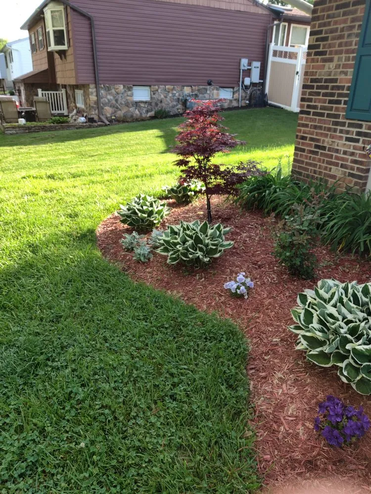 Professional outdoor landscaping in Cincinnati, OH - Elevated Landscape and Lawncare