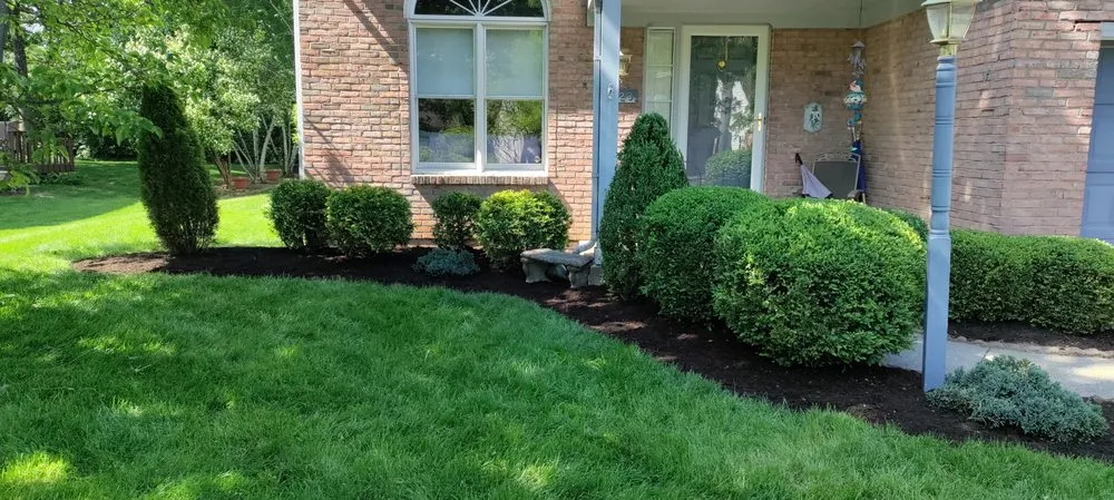 Local lawn care service for year-round maintenance in Cincinnati, OH by Elevated Landscape and Lawncare