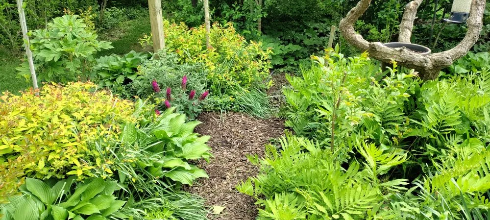 Professional landscape installation in Cincinnati, OH by Elevated Landscape and Lawncare