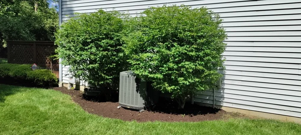 Top-rated landscape installation for year-round maintenance across Cincinnati, OH - Elevated Landscape and Lawncare