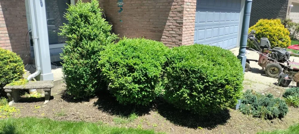 Affordable landscape design in Cincinnati, OH - Elevated Landscape and Lawncare