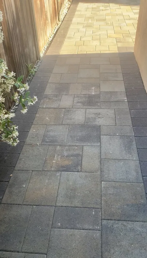 Trusted lawn care service for residential properties across Santa Clara, CA - Elevated Landscape