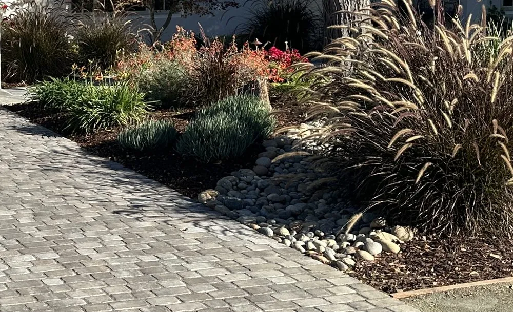 Reliable lawn mowing service in Santa Clara, CA - Elevated Landscape