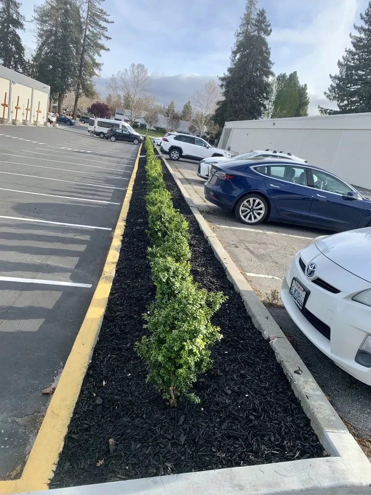 Trusted lawn care service near you across Santa Clara, CA - Elevated Landscape