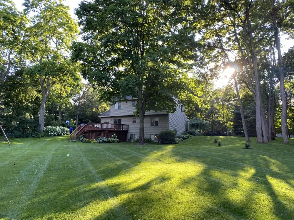 Reliable lawn care service in Pinckney, MI - Elevated Lawn Experts