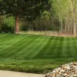 Professional garden landscaping for homes in Fort Collins, CO by Elevated Lawns and Landscape