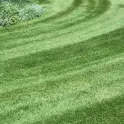 Trusted outdoor landscaping for residential properties in Fort Collins, CO by Elevated Lawns and Landscape