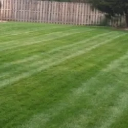 Expert residential landscaping for residential properties across Fort Collins, CO - Elevated Lawns and Landscape