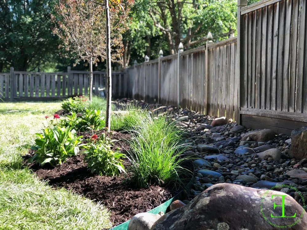 Top-rated lawn care service for year-round maintenance across Olathe, KS - Elevated Living